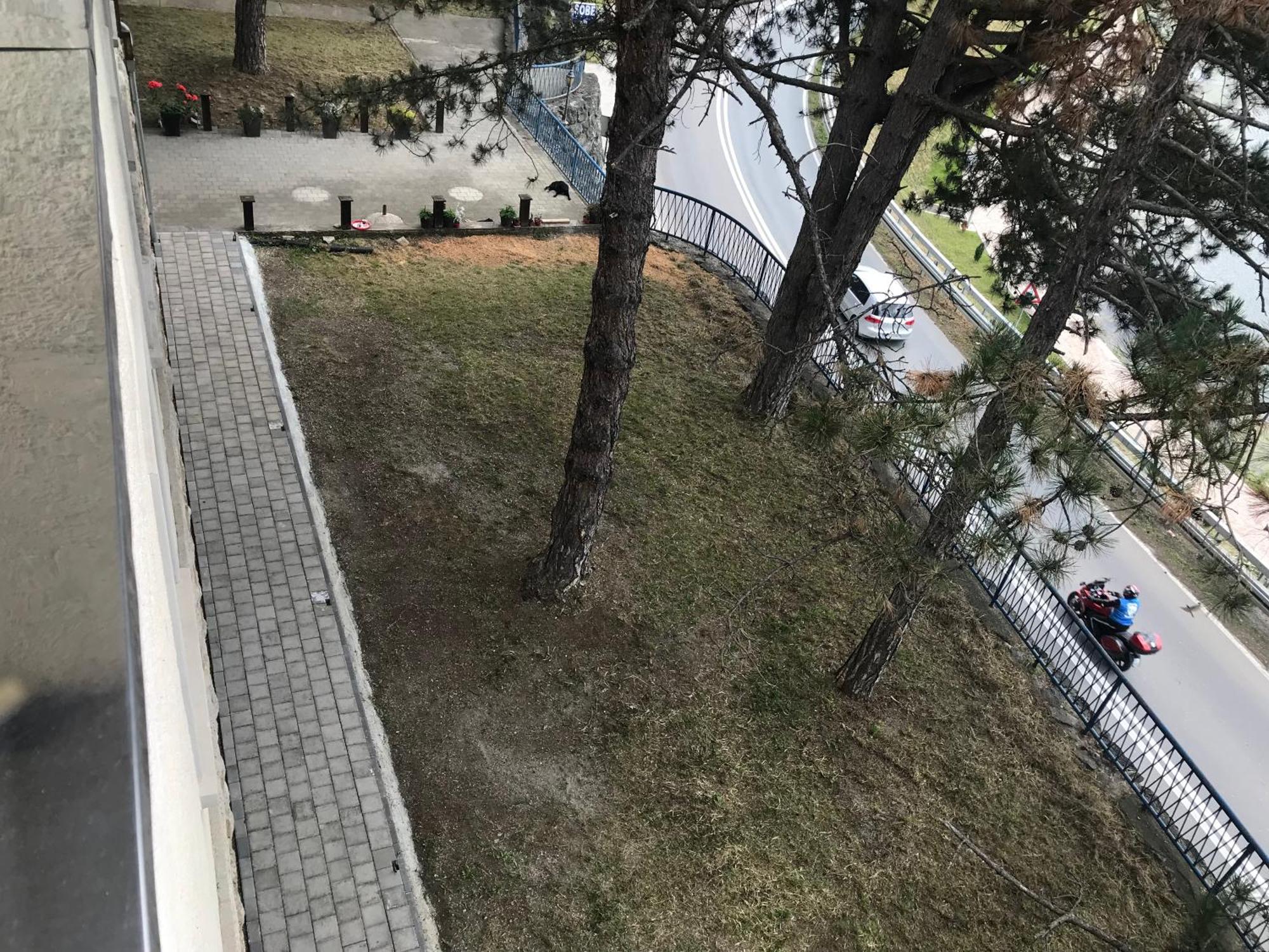 Apartament Čačak エクステリア 写真